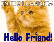 a picture of a kitten with the words hello friend below it