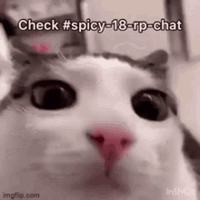 Funkytown Check Bruh Chat GIF - Funkytown Check Bruh Chat Check Spicy18rp Chat GIFs