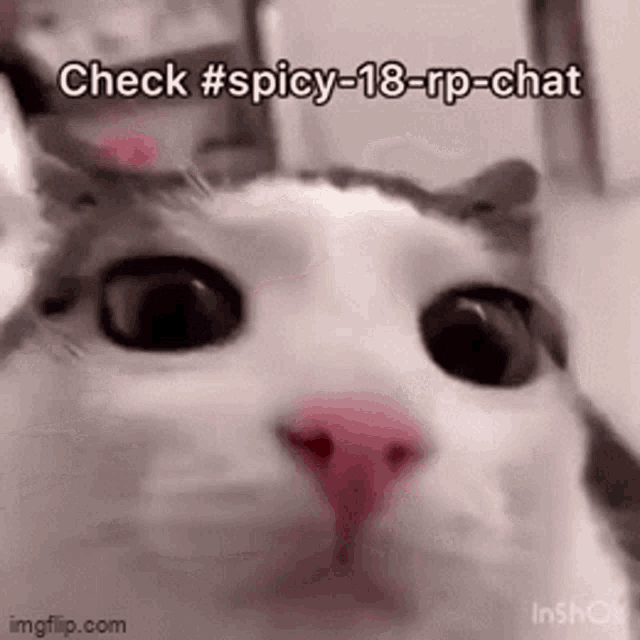 Funkytown Check Bruh Chat GIF - Funkytown Check Bruh Chat Check Spicy18Rp  Chat - Discover & Share GIFs