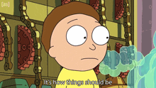 It'S How Things Should Be Morty GIF - It'S How Things Should Be Morty Rick And Morty GIFs