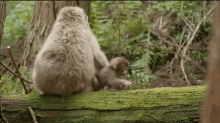 Where Do You Think You'Re Going? GIF - Mom GIFs