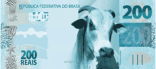 200reais Gado Bolsonaro Boi Bolsominion GIF - 200reais Gado Bolsonaro Boi Bolsominion GIFs
