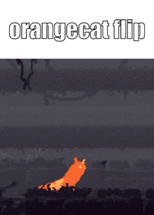 a picture of a fire with the words orangecat flip on the bottom