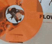 Orange Flashing Gif GIF - Orange Flashing Gif GIFs