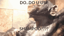 Douuseshampoo Alphashampoo GIF - Douuseshampoo Alphashampoo GIFs