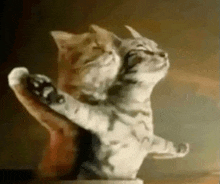 two cats are hugging each other in a statue .