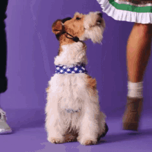 Holiday Dance GIF - Holiday Dance Party GIFs