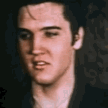 Elvis Elvis Presley GIF - Elvis Elvis Presley Presley GIFs