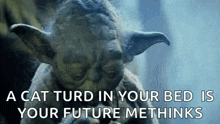 a cat turd in your bed is your future methinks , according to yoda .