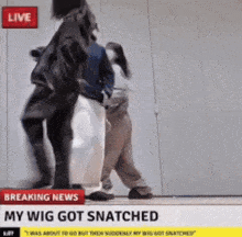 a breaking news report about a person 's wig being snatched