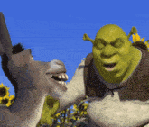 Shrek Vrstvy GIF - Shrek Vrstvy Cibule GIFs