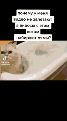 a cat is sitting in a bathtub with bubbles coming out of it 's mouth