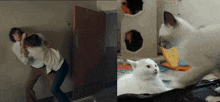 Angus Tully Cat The Holdovers GIF - Angus Tully Cat Angus Tully The Holdovers GIFs