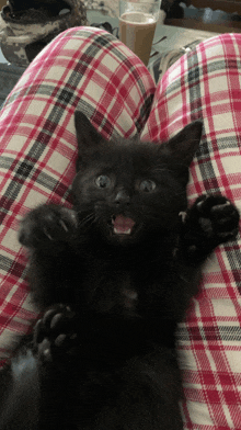 a black cat is laying on a plaid blanket on someone 's lap