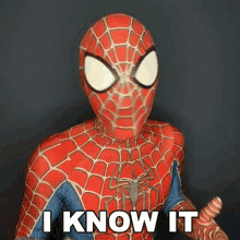 I Know It Spiderman GIF - I Know It Spiderman Cameo GIFs