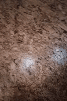 a blurred image of a wooden surface with a few spots of light on it