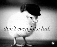 a black and white photo of a chicken wearing a hat with the words " don t even joke lad "