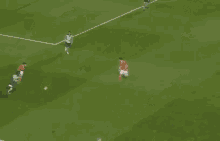a group of soccer players are playing on a field .