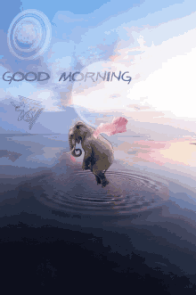 Woke Up Sunrise GIF - Woke Up Sunrise Elephant GIFs