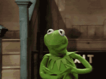a kermit the frog is standing in front of a sign that says wait