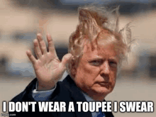 Toupee Trump GIF - Toupee Trump GIFs