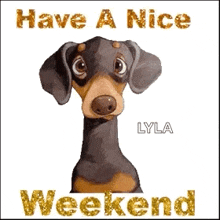 Have A Nice Weekend Dogs GIF