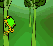 Tbhss Grenouille Frog GIF - Tbhss Grenouille Frog GIFs
