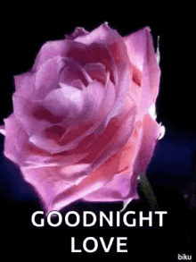 Goodnight Love Flowers GIF - Goodnight Love Flowers Neon GIFs