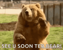See You Soon Ter Bear Hi GIF - See You Soon Ter Bear Hi Hello GIFs