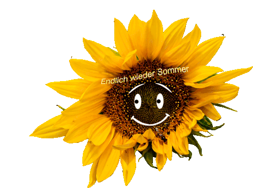 Sommer Sonne Sticker - Sommer Sonne Sonnenblume Stickers