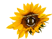 Sommer Sonne Sticker - Sommer Sonne Sonnenblume Stickers