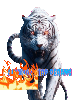 a picture of a white tiger with a fire behind it that says ' pekantap perang '