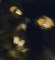 Dunkey Cat Dunkey Scream GIF - Dunkey Cat Dunkey Scream Dunkelheit Cat GIFs