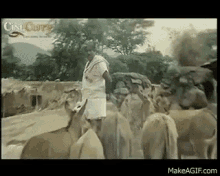 Goundamani Argue With Donkey GIF