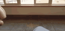 a person sitting in front of a window with a tile floor