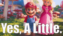Mario Movie Yes A Little GIF - Mario Movie Yes A Little A Little GIFs