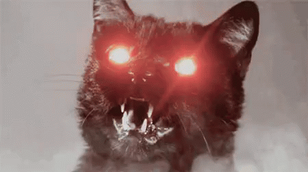 Demonic Dark Cat