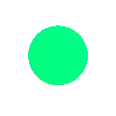 a green circle on a white background