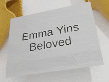 Emma Yin GIF - Emma Yin Emma And Yin GIFs