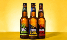Bro Code Beer GIF - Bro Code Beer Partner GIFs
