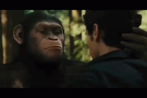 Planet Of The Apes GIF - Planet Of The Apes - Discover & Share GIFs