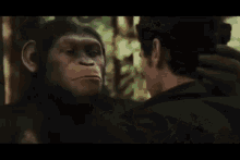 Planet Of The Apes GIF - Planet Of The Apes GIFs