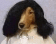 a painting of a dog with long black hair and the words hello chat