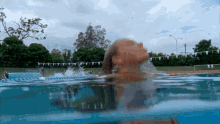 Mermaid H2o GIF