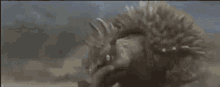 Godzilla Destroy All Monsters GIF - Godzilla Destroy All Monsters Anguirus GIFs