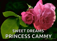 Sweet Dreams Flowers GIF