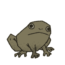 frog a