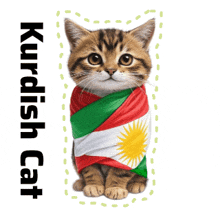 a cat wrapped in a kurdish flag with the words kurdish cat below it