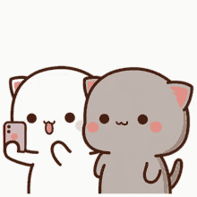 Couple Cats GIF - Couple Cats Selfie GIFs
