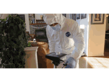 Best Mold Inspection Company La Professional Mold Testing GIF